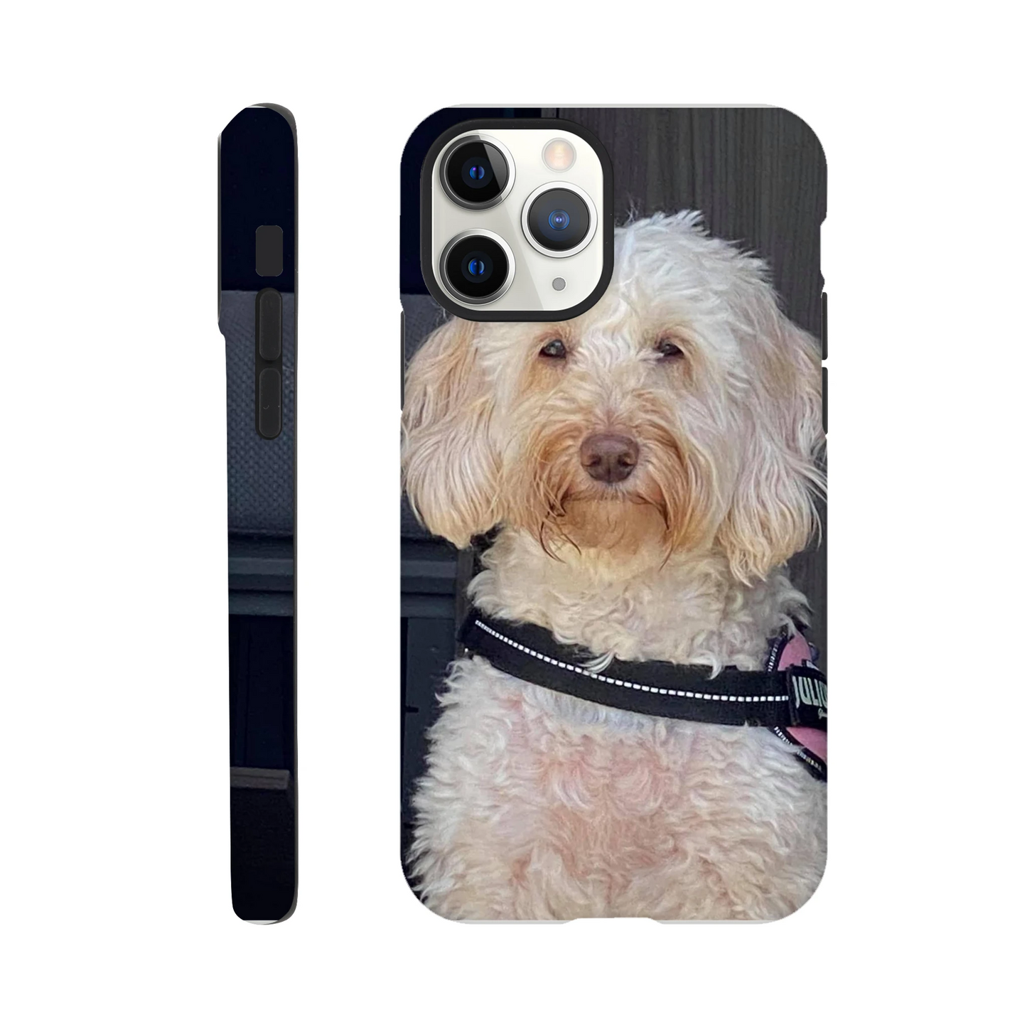 0a4726ea-de62-4189-b13b-fb9421002a6a