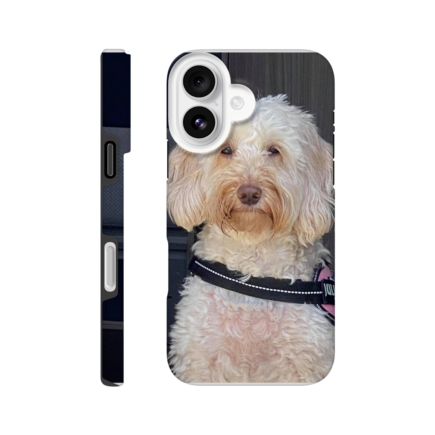 1f64a368-5783-4d1e-a196-cb28d46f3525