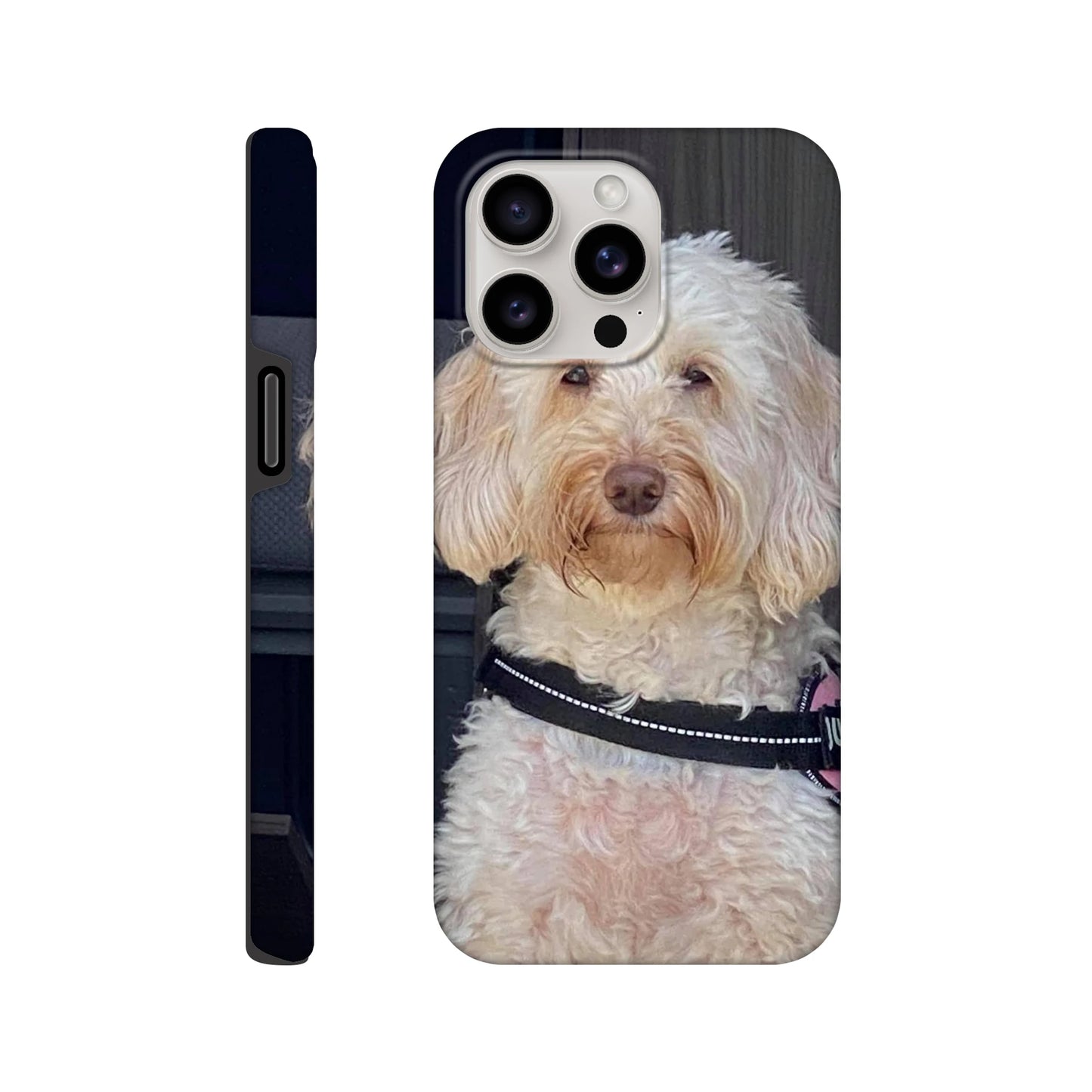 286ba0d7-ce79-4acf-b91b-a710a4351c36