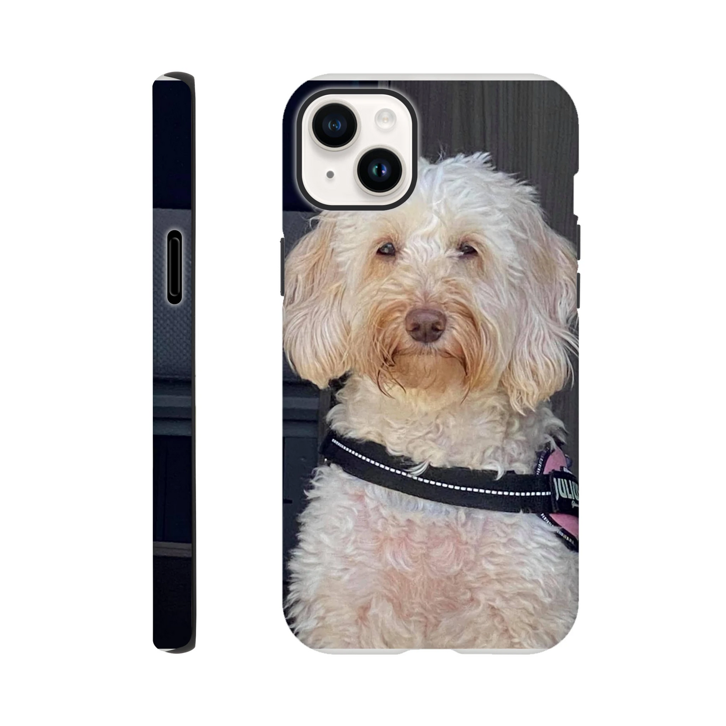 4400ec5a-ac95-4562-bc44-a6be5ec04978