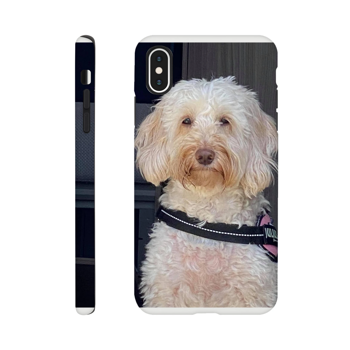 44f78713-720e-453e-91b7-67e3934e8e13