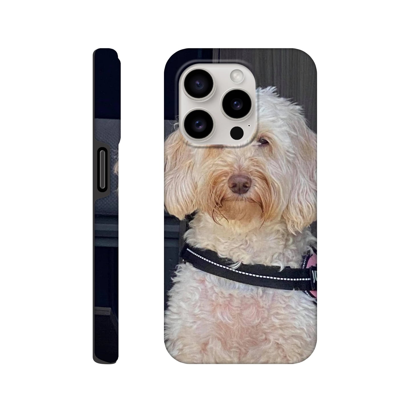 49178c65-d480-4c99-b774-4de0c4e1a61c