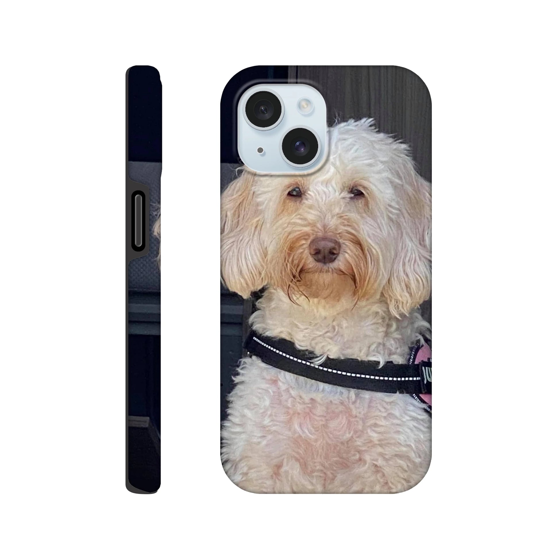 4a391caa-247c-400b-a927-54cded0fd11d