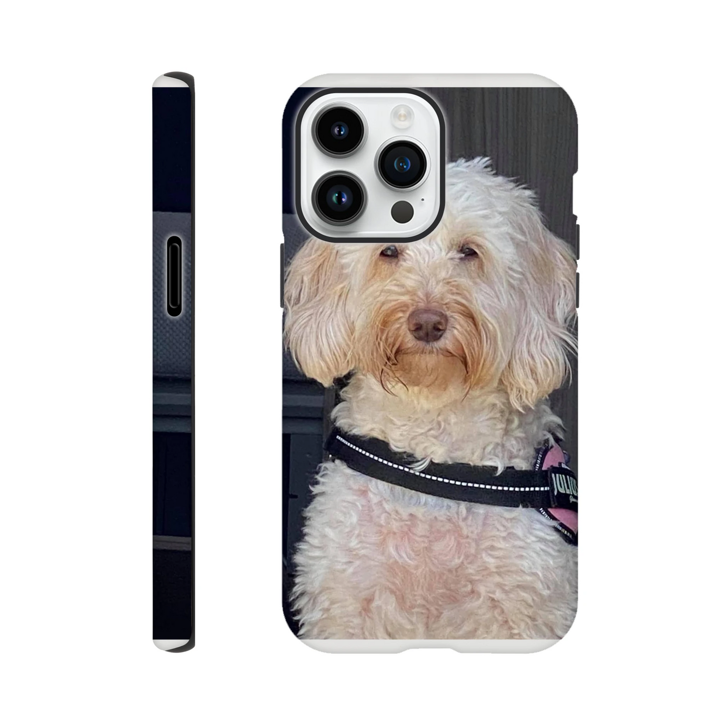 4d6cb7a3-cb5f-4d4a-b403-b0eb0c5f5f8c