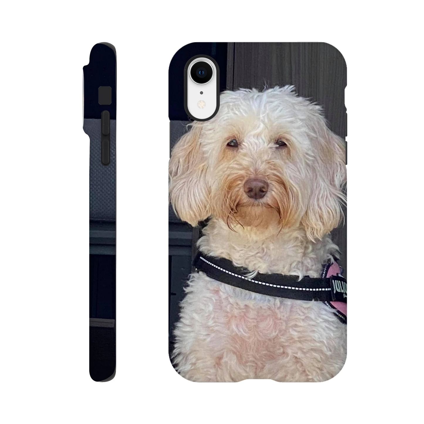 680e2b9a-ba44-4b74-8489-fe1bae0008d3