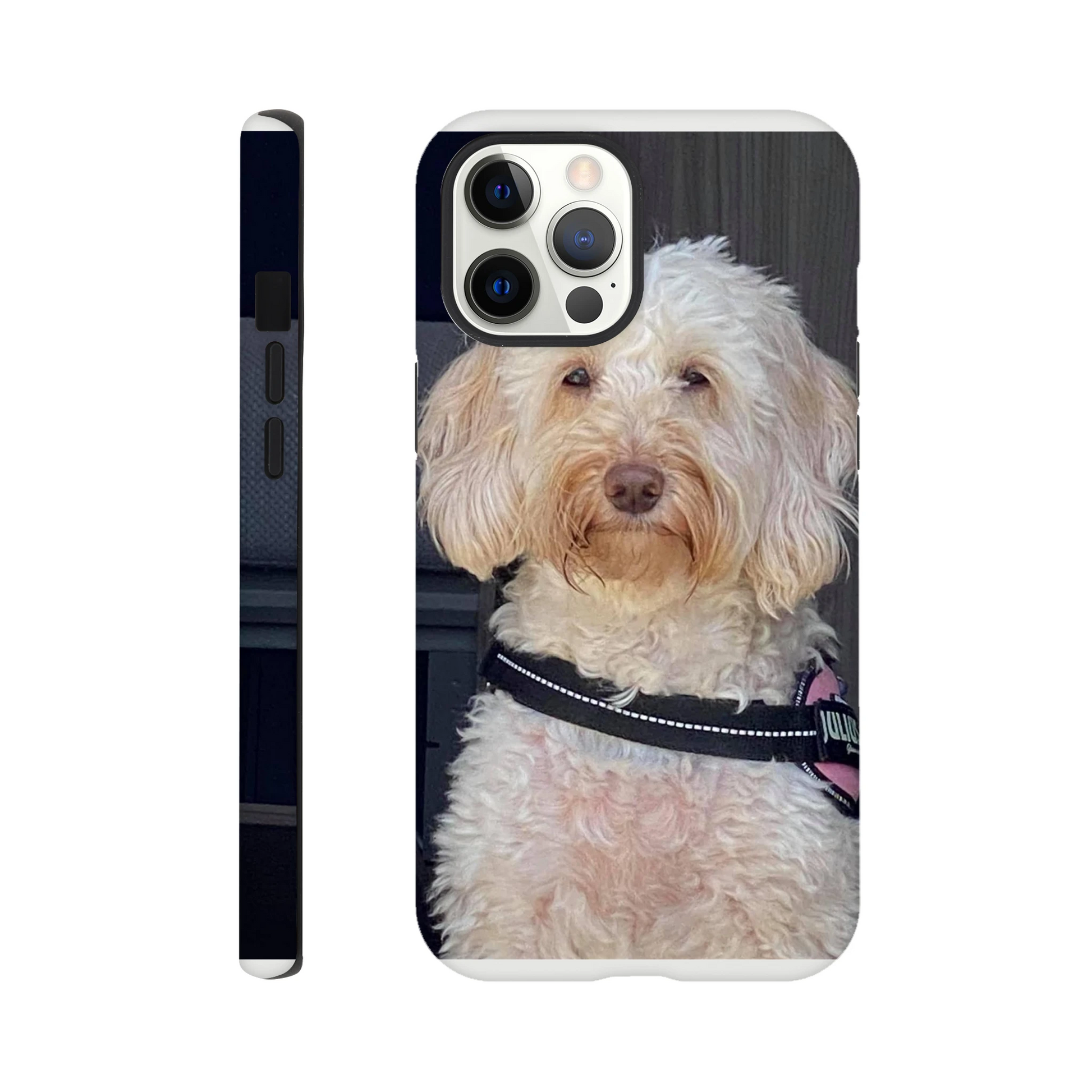 87ccd5d6-6365-46bc-85a1-4f29e824665f