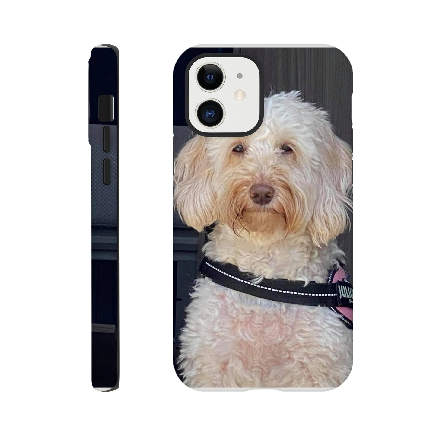 8b56a185-5520-40c5-a482-452e55b05d49