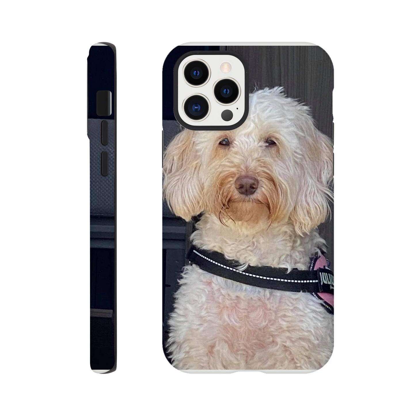 907dbbbd-2c6b-4363-9e5b-2db4c1f3a5c4