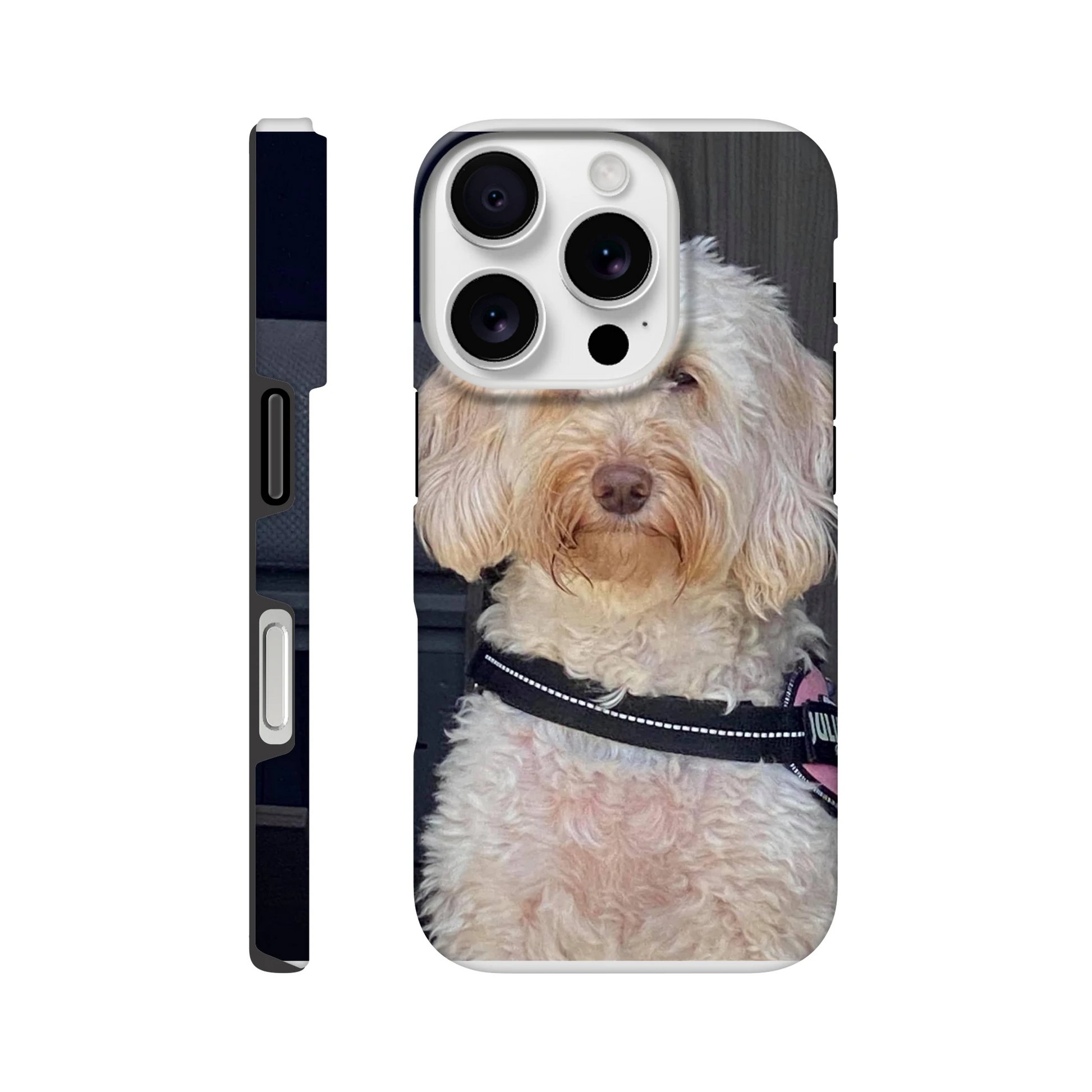 92415717-d56a-40bd-925c-ddc9b8158736