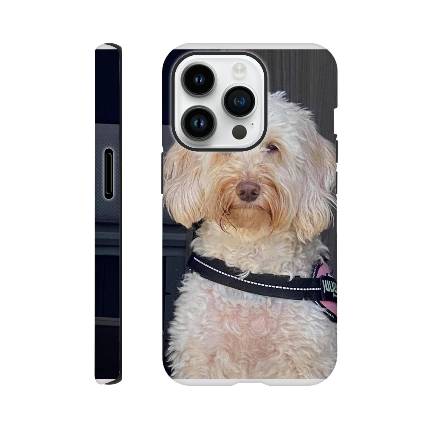 94febbaa-59e4-4b72-8320-495c409e53f4