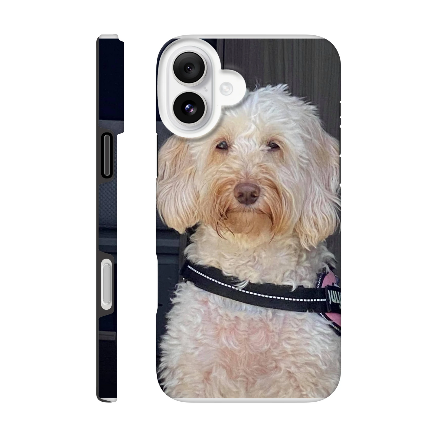 96bc135a-fc12-40a3-a36c-9f4aa8b20c7d