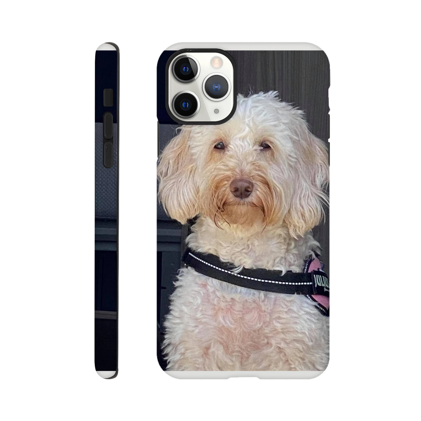 9c4ac8ab-ca70-41e9-b034-ec7aa7395bd0