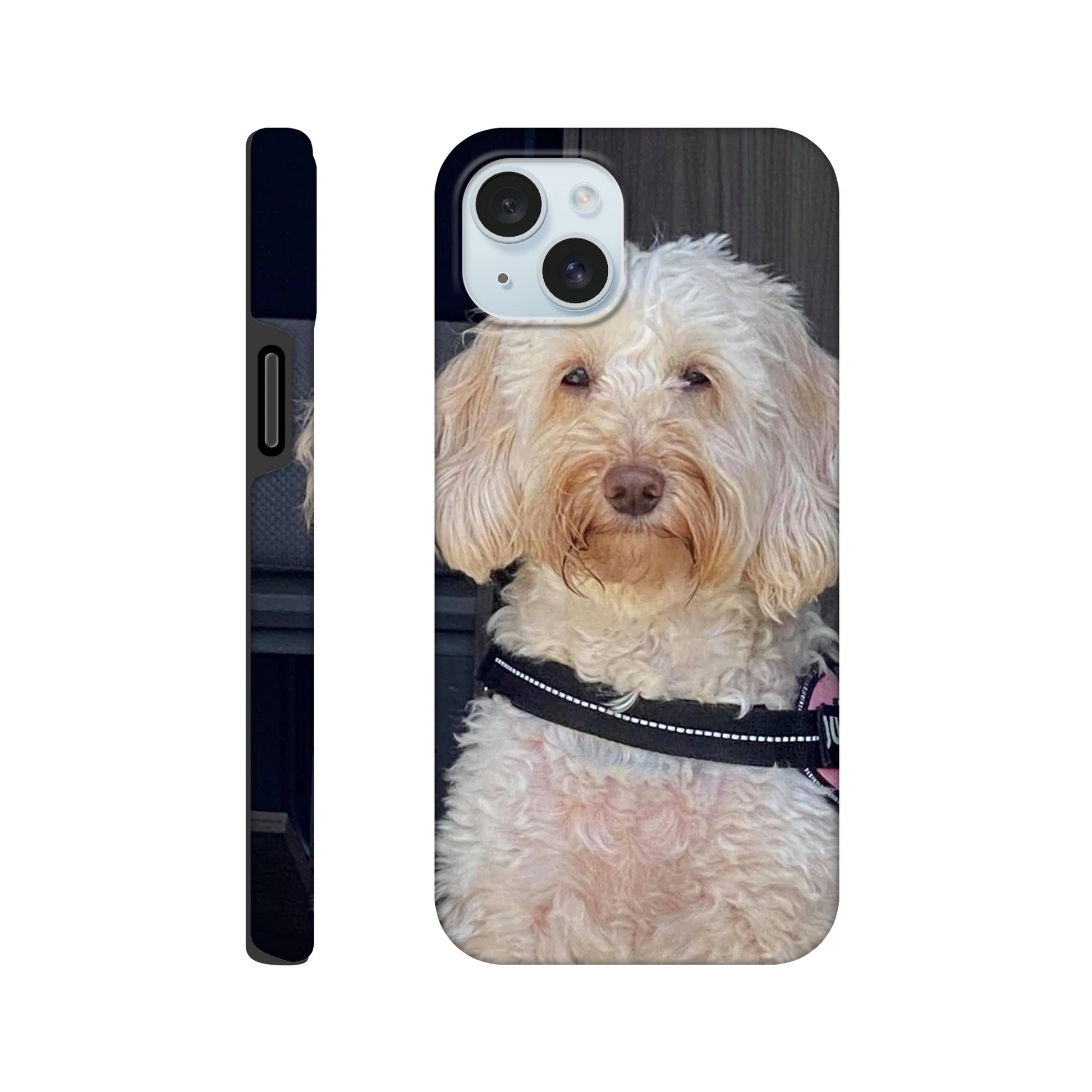 a2fb7086-05a8-4988-be23-642d96f170f3