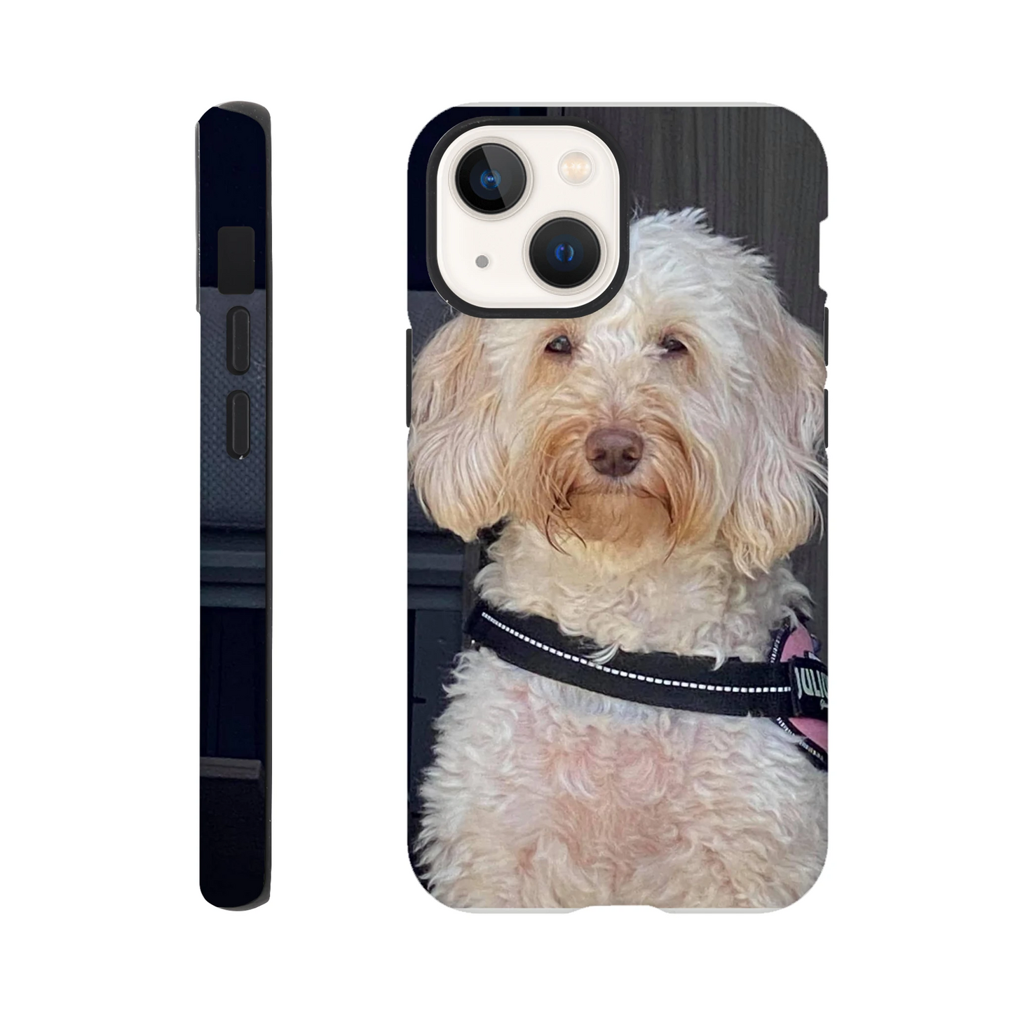 b95dd345-f342-492e-bd9e-4b89173aa1a7