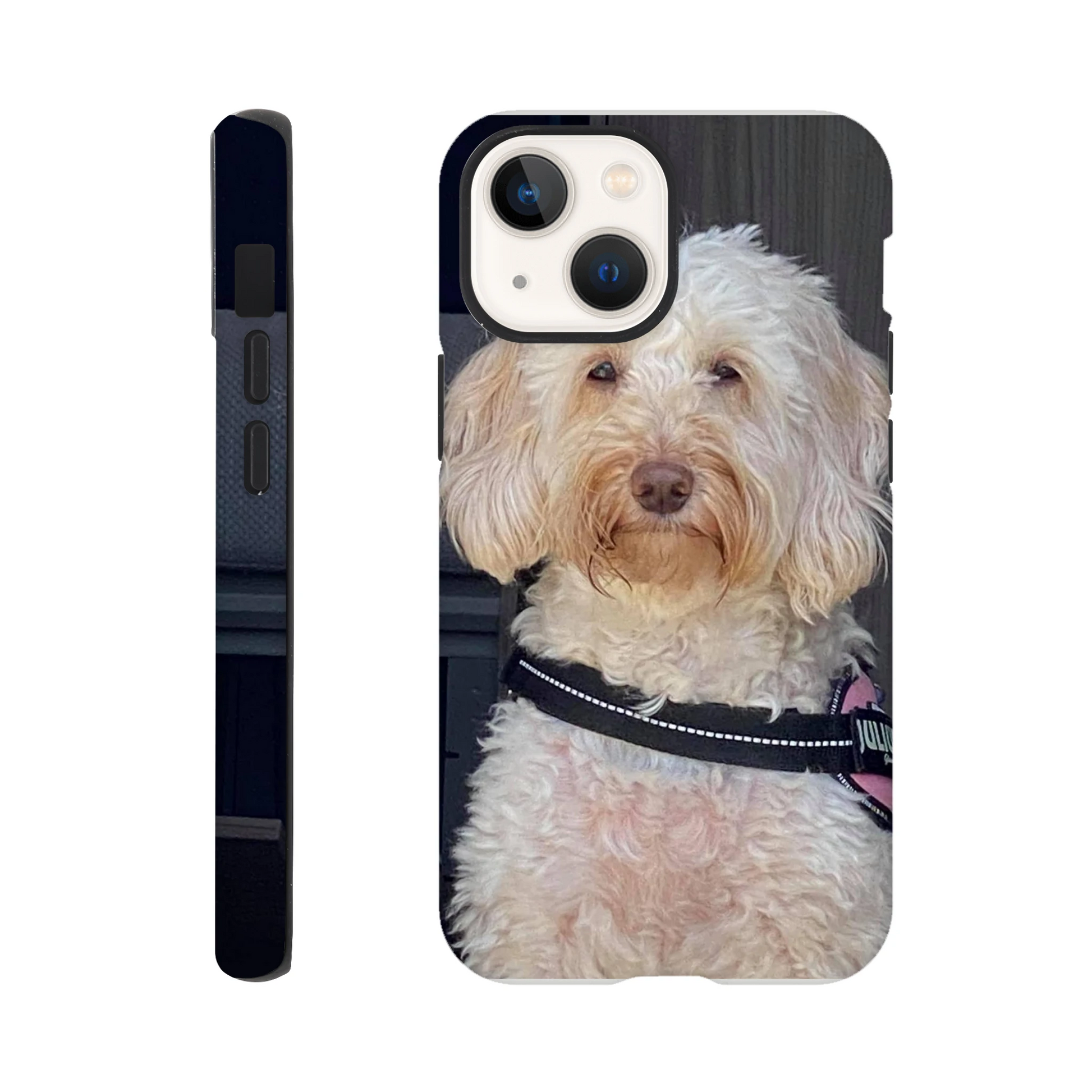 b95dd345-f342-492e-bd9e-4b89173aa1a7