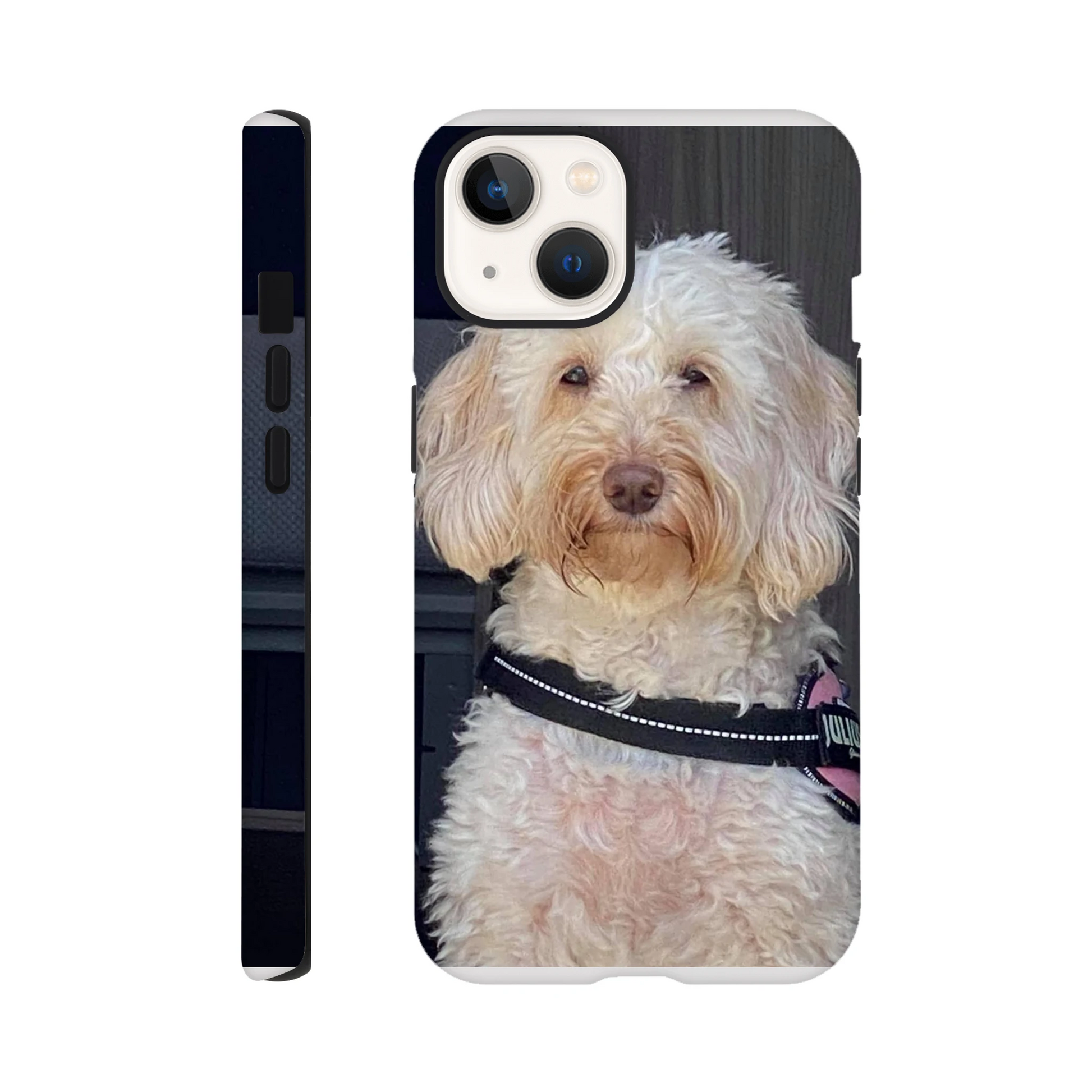 c0b3cf86-1ec8-4c50-b46e-9e68d04bc8cd