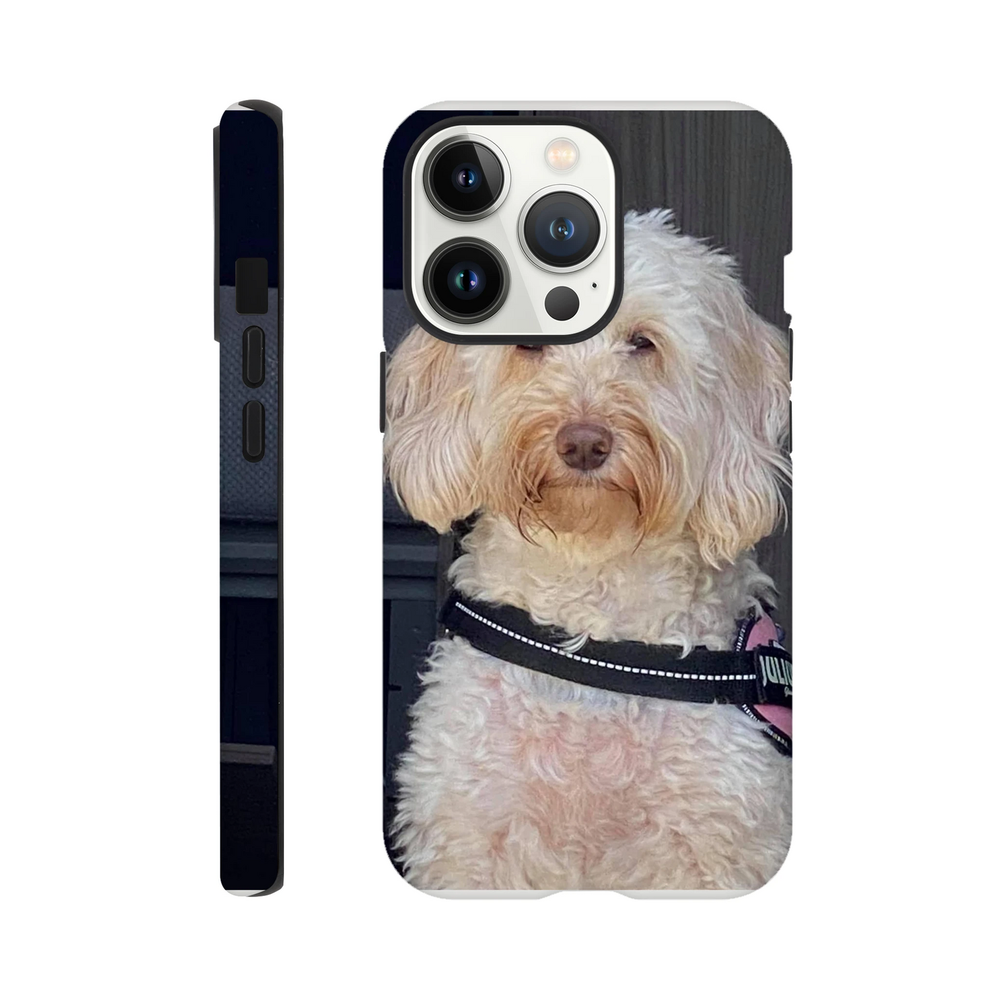 c74b0d98-a53a-44c0-a979-5d9a9a1c495d