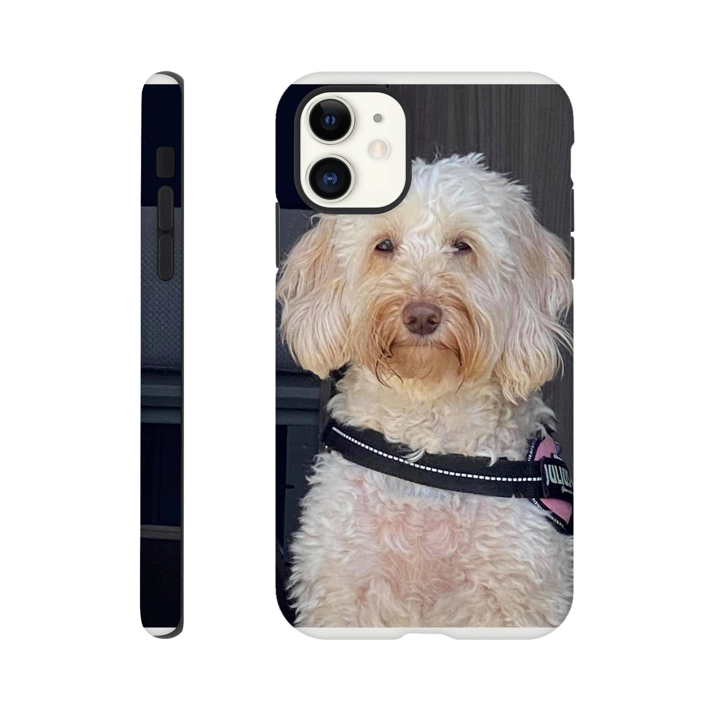 c9b943c8-ea19-4edd-98f6-467fd81c3155