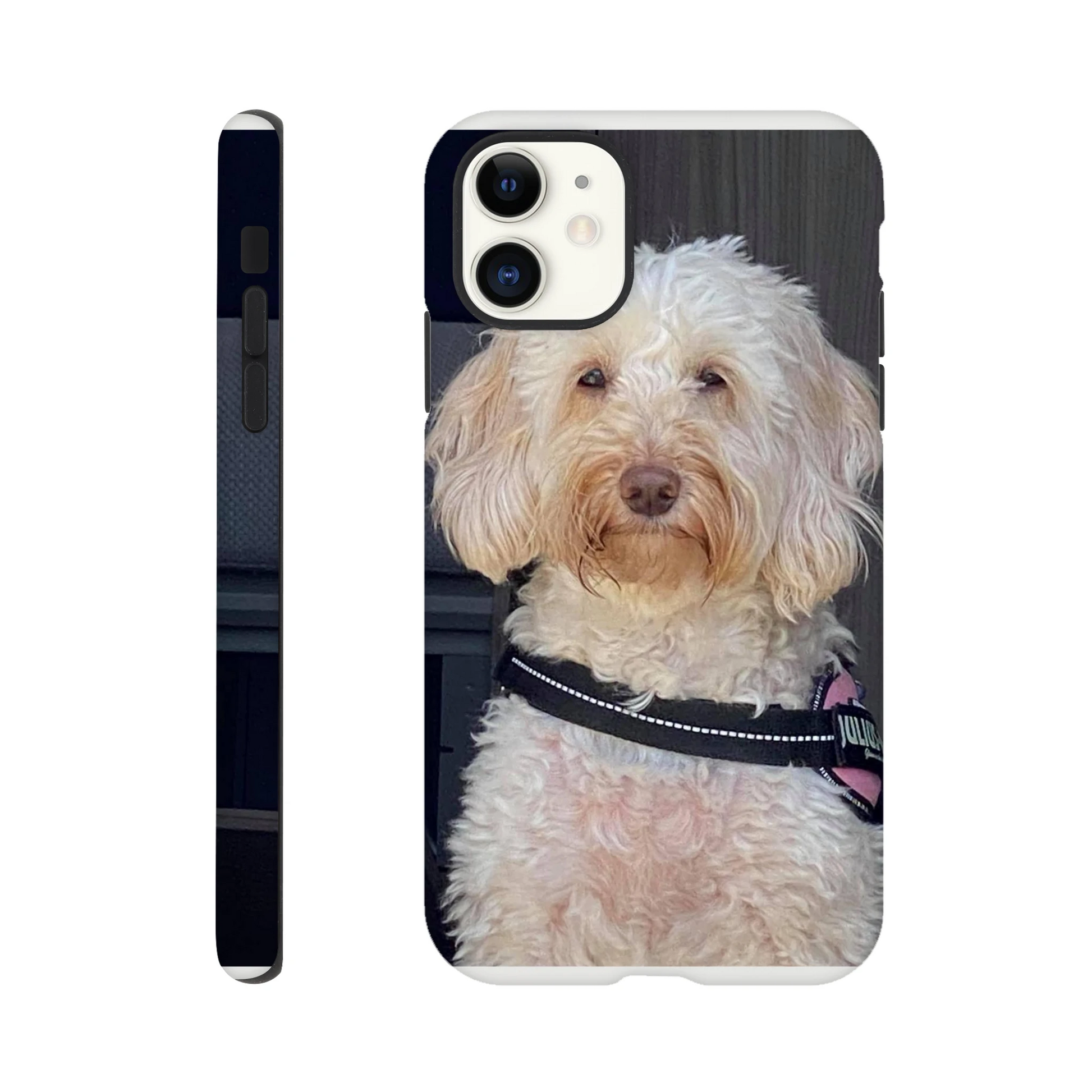 c9b943c8-ea19-4edd-98f6-467fd81c3155