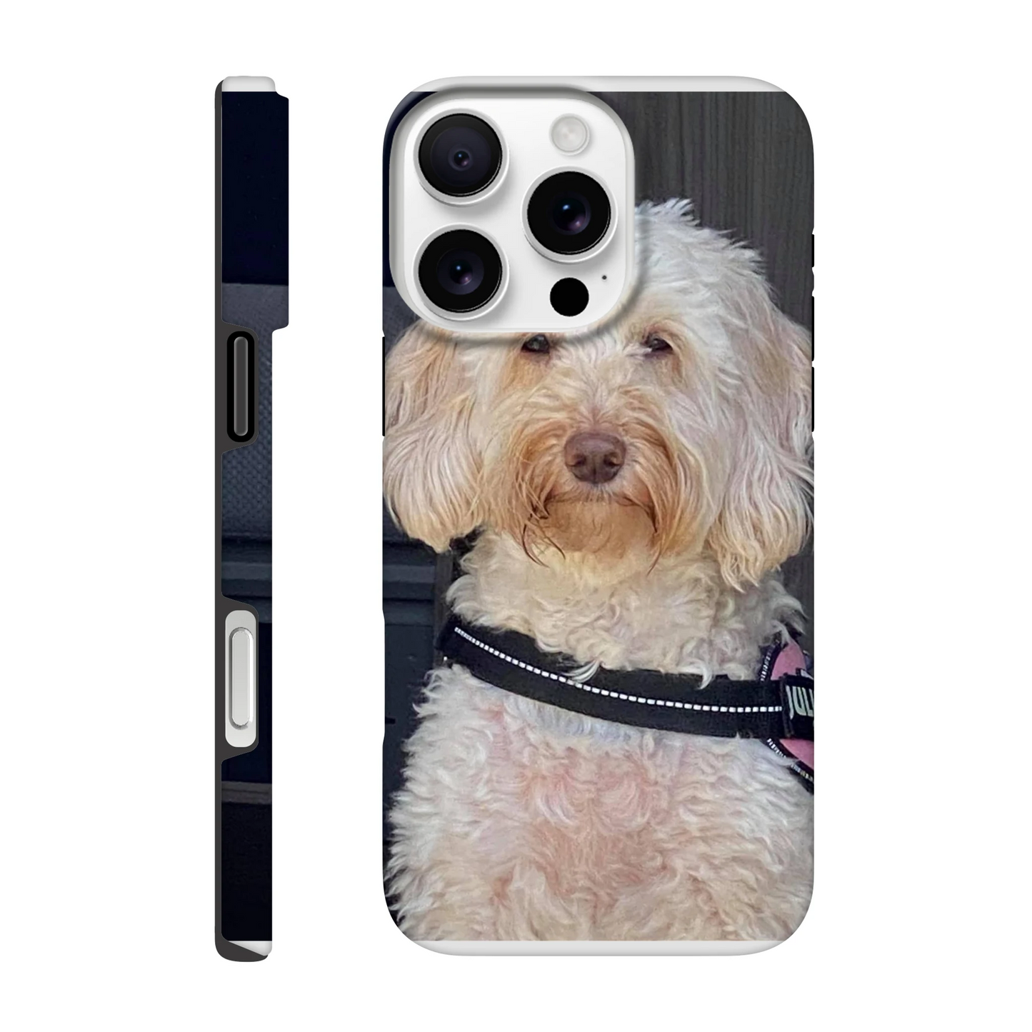 cf7c9bc8-4e3e-4985-871f-9dda6b3d0829