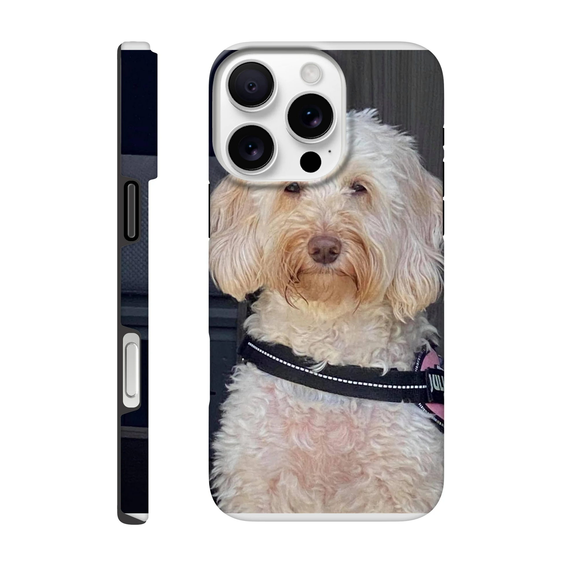 cf7c9bc8-4e3e-4985-871f-9dda6b3d0829