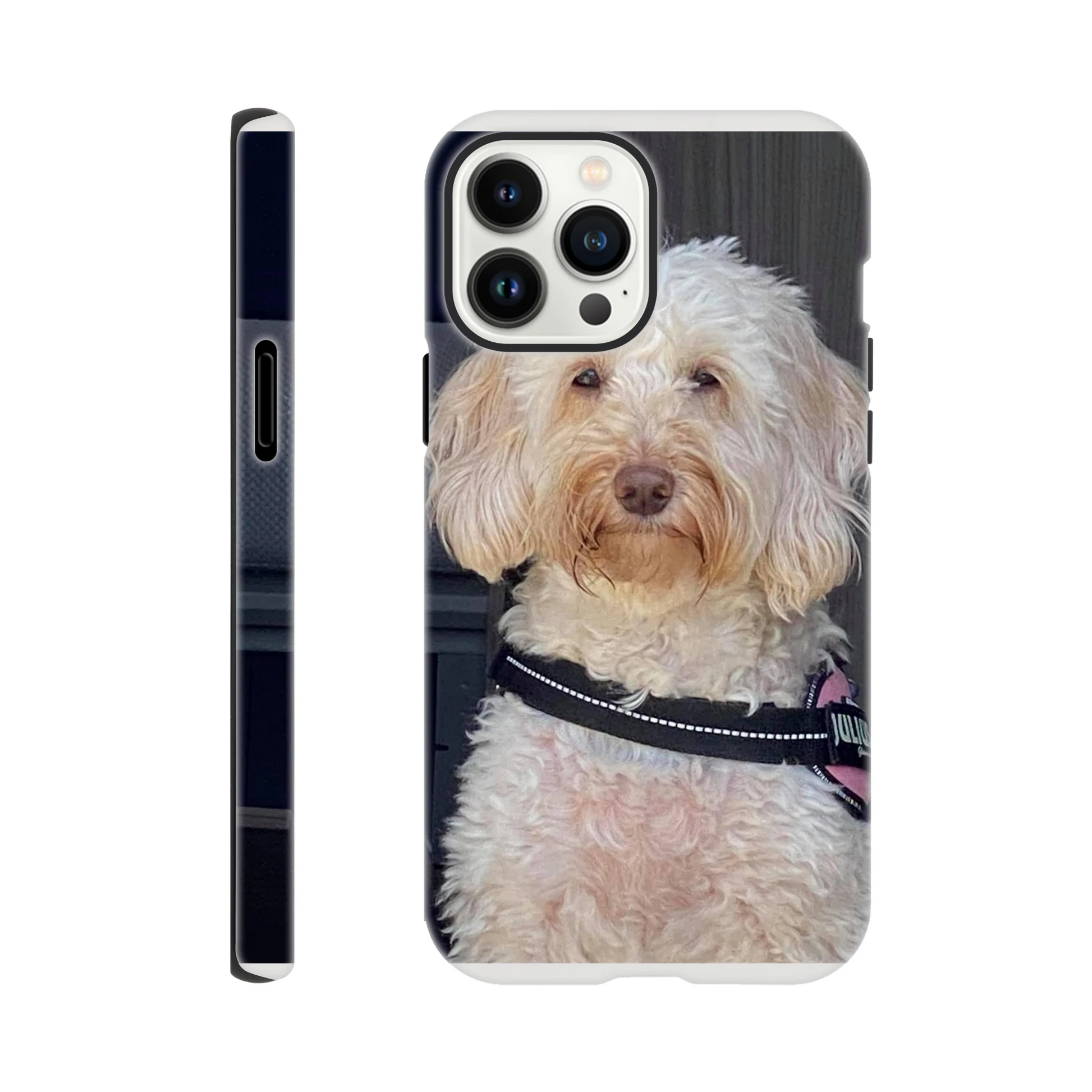 f05dca5f-055c-482d-8f13-37af82bce844